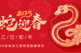 辭舊迎新，蛇舞華章丨深圳容金科技全體員工祝您新春快樂！