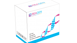 對(duì)蝦黃頭病毒（YHV）RNA恒溫核酸檢測(cè)試劑盒（不含提取）